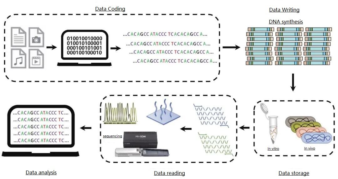 BlackTECH | 1KG store Global Data! What about DNA storage?