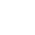 Electronic Scanner