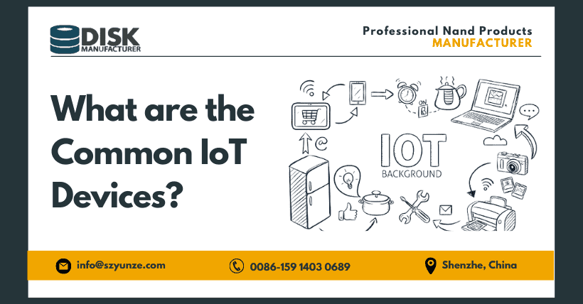 What are the common IoT devices