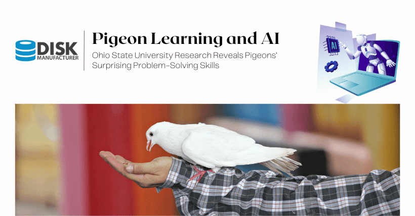 Pigeon Learning and AI