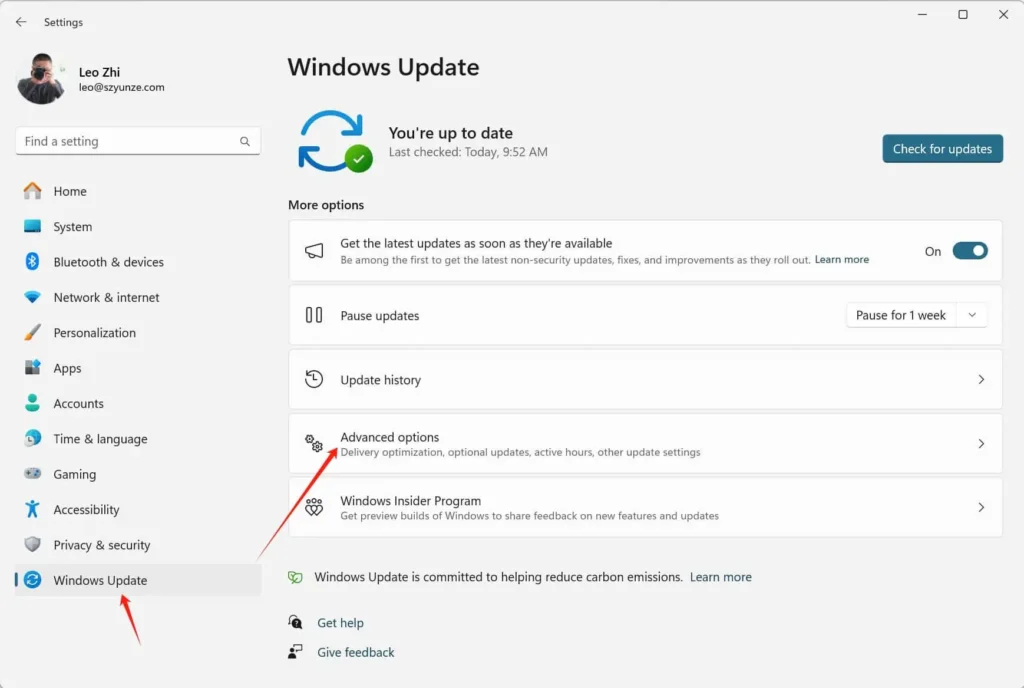 Windows 11 Update advanced options