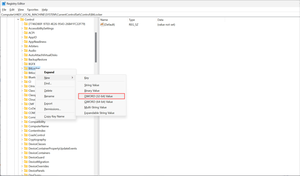 DWORD 32-bit Value on Bitlocker